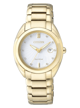 Citizen EM0313-54A